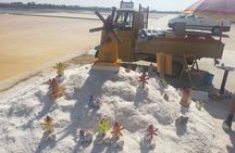 Afternoon Saline Tour