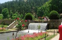 Exclusive Kashmir Tour Package