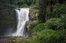 Ubud Cultural Tour