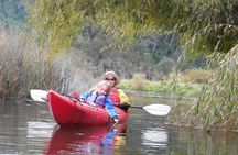 Medio Día de Kayak en el Lago Llanquihue