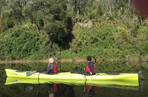 Medio Día de Kayak en el Lago Llanquihue