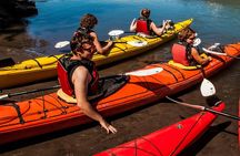 Medio Día de Kayak en el Lago Llanquihue