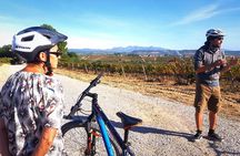 From Barcelona: E-Bike Tour in the vineyards with 2 Wineries