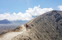 1 Day - Bromo Morning Tour start MALANG or SURABAYA // 7.30-16:00