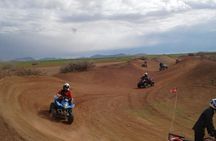 Quad tour in the palm grove desert