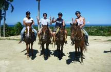 Horseback riding tours by the Beach