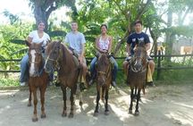 Horseback riding tours by the Beach