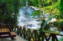 VIP Private Bob Marley Nine Mile & Dunn’s River Falls Experience