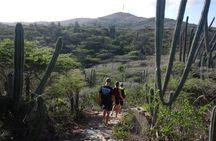 Private excursion to Aruba's highest point & pristine coral reef