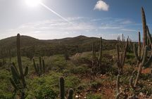 Private excursion to Aruba's highest point & pristine coral reef