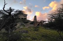 Private nature tour: Aruban mangrove forest & pristine coral reef