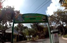 Dunns River Falls Park and Beach 