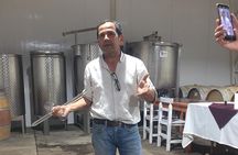 Signature Vineyard Exclusive Tour with Certificated Sommelier