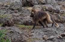 Day Trip From Addis Ababa To Debre Libanos & Blue Nile Gorge