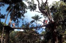 Zip Line over the Dunns River Falls 