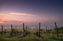 Private Winery Tour of Niagara-on-the-Lake