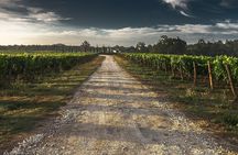 Private Winery Tour of Niagara-on-the-Lake