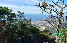 Corcovado and City Tour