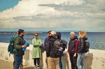 Punta Arenas Antarctic History Private City Tour