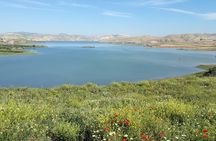 Day Trip to Chefchaouen From Fez with Local Expert