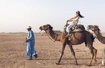 Marrakesh: Agafay Desert Sunset, Camel Ride, and Dinner Show