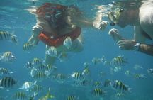 Negril Lobster Lunch on Booby Cay & Snorkeling To a Sunken Cannon