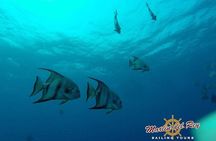 Pura Vida Sailing Catamaran Adventure From Guanacaste