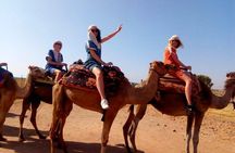 Marical dinner and camel ride at sunset in Desert of Marrakech