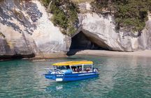 Glass Bottom Boat Whitianga Cathedral Cove Cruise