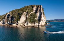 Glass Bottom Boat Whitianga Cathedral Cove Cruise
