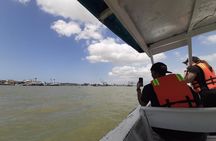 Dolphin Watching in Puerto El Morro from Guayaquil