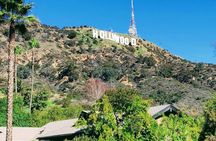 Private, Guided Sightseeing Tour of Los Angeles