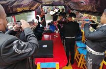 OFFER / Private COMBO 2 days Frida Kahlo Museum / Xochimilco -Teotihuacan / Basilica.