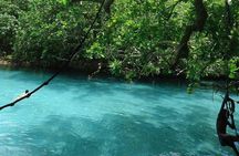 Full-Day Scenic Tour around the Island Tour from Port Vila