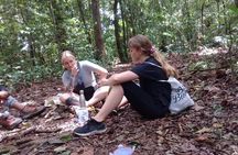 Combine of Tamblingan Waterfall and Twin Lake Tour