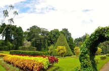 Kandy City Tour by Lux Tours Lanka