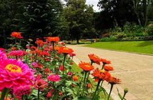 Day Tour to Nuwara Eliya from Kandy by Lux Tours Lanka