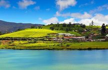 Day Tour to Nuwara Eliya from Kandy by Lux Tours Lanka