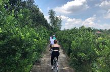 Unique Private Cai Be Cooking With Biking 1 day