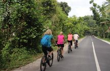 Lombok Easy Biking Tour