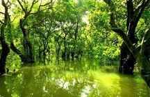 Sreemangal Tour! Sylhet, Bangladesh