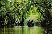 Sreemangal Tour! Sylhet, Bangladesh
