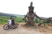 Jatiluwih to the Sea – Cycling from UNESCO Rice Terraces to Coast