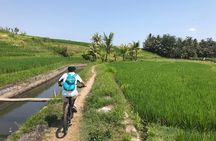 Jatiluwih to the Sea – Cycling from UNESCO Rice Terraces to Coast
