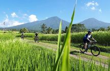 Jatiluwih to the Sea – Cycling from UNESCO Rice Terraces to Coast