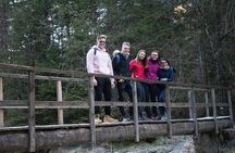 Winter Triglav National Park Adventure - Full day trip from Bled