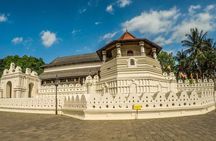 Visit sri Lanka 7 Days Round Trip