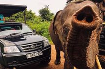Udawalawe national park private tours