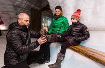 Into the Glacier: Langjökull Ice Cave Day Tour from Reykjavík