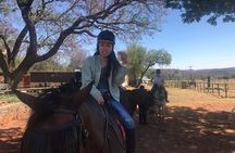 Horse riding safari from Johannesburg 